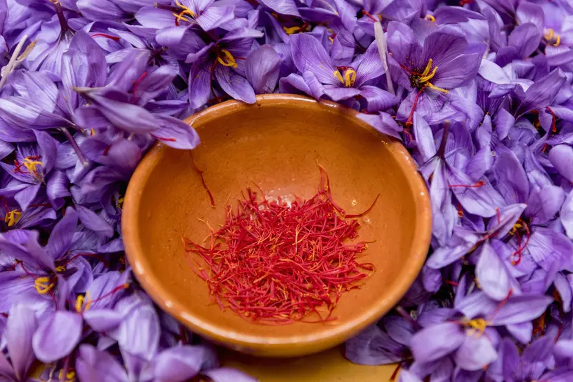 Sardinian saffron
