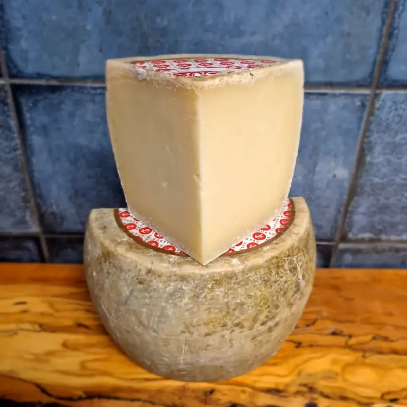 pecorino sardo